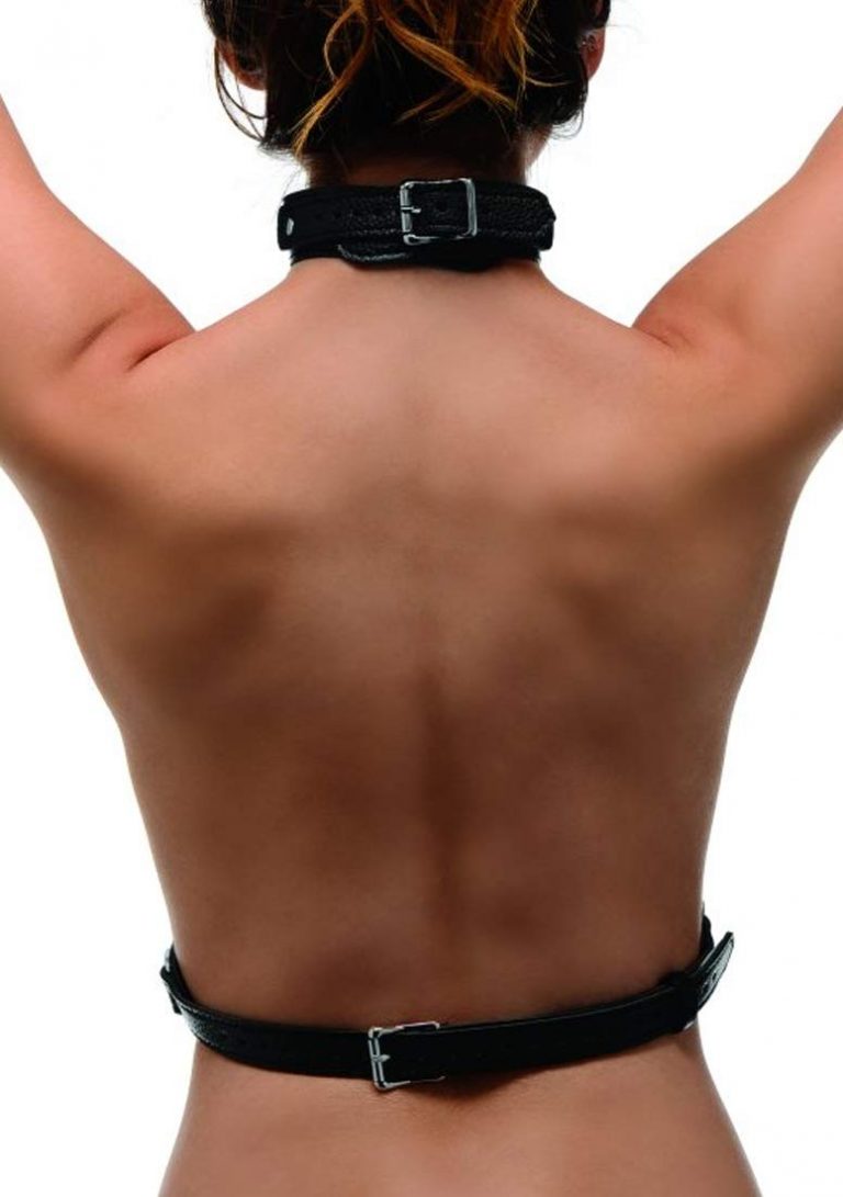 STRICT Female Chest Harness 3.