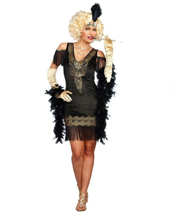 dreamgirl swanky flapper costume