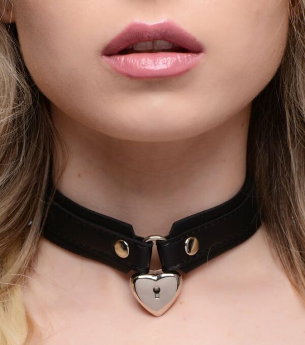 Strict XR Brands BDSM Slave Day Collar Locking