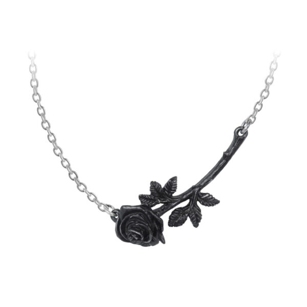 Alchemy of England P913 Black Rose Enigma Thorn Necklace Pendant Goth