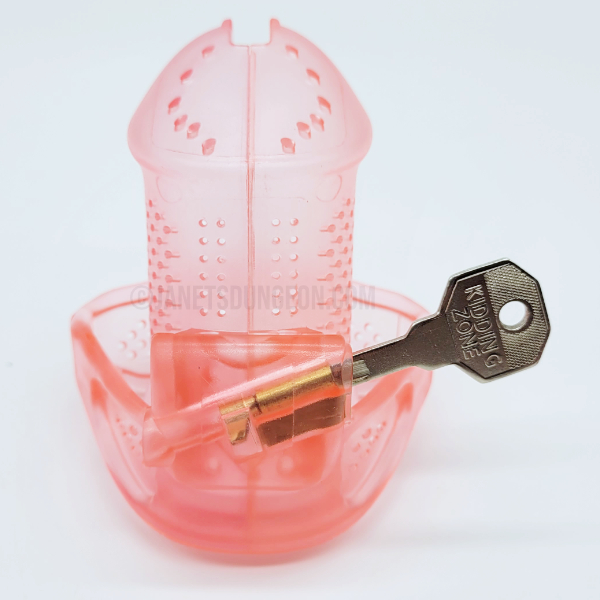 Janets Dungeon Male Chastity Device Cock Cage Inescapable New Era Cage Sissy Pink JD-785