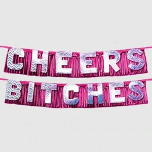 cheers bitches party banner girls night bride to be bridesmaid party