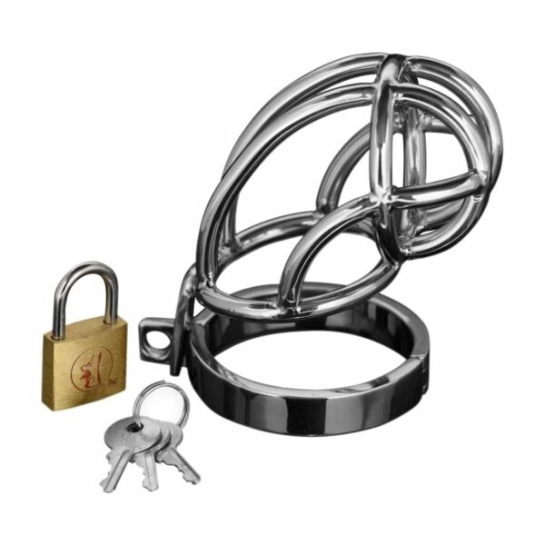 master series captus chastity cage brass padlock with key steel silver erection metal cbt cock and ball torture chastity cock cage