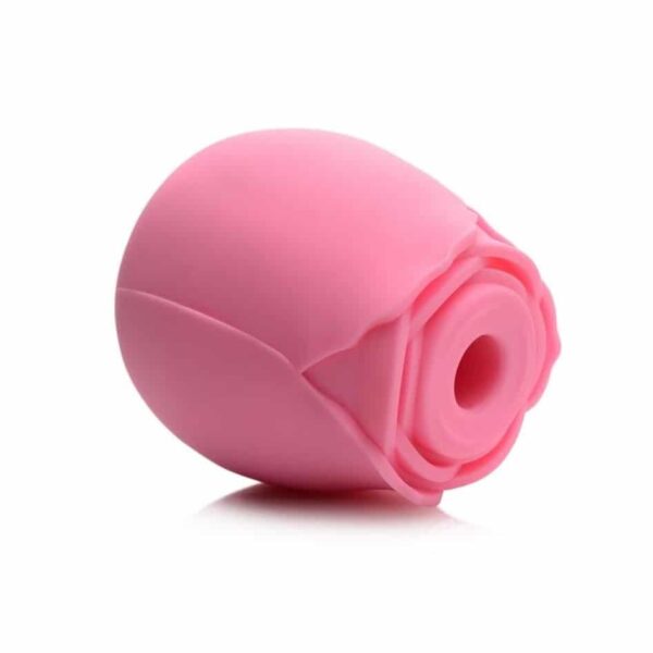 bloomgasm the rose lovers gift box pink tiktok rose sex toy clitoral suction stimulator orgasm valentines day sexy usb charger popular