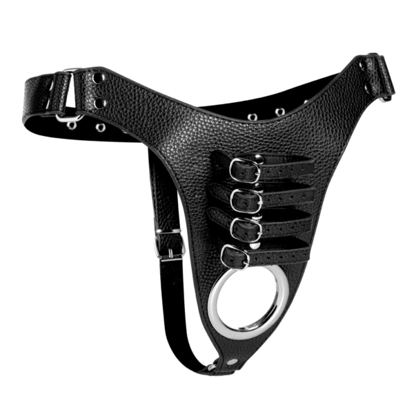 strict male chastity harness male cbt chastity cage chastity device cock cage locked up slave submissive dominant adjustable penis straps adjustable waist straps one size fits most