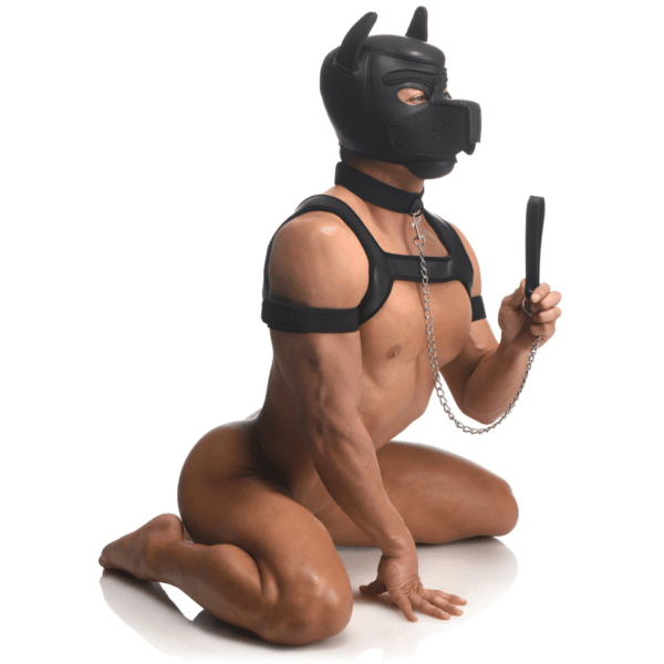 Master Series Full Pup Arsenal Puppy Play Set pet play pup dog doggy leach collar hood mask dog hood chest harness arm bands