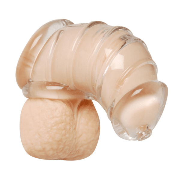 Master Series Detained Silicone Chastity Cage - Clear soft flexible cock cage silicone erection submissive slave dominant lock the cock cock cage chastity device cbt cock and ball torture