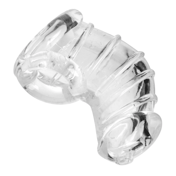Master Series Detained Silicone Chastity Cage - Clear soft flexible cock cage silicone erection submissive slave dominant lock the cock cock cage chastity device cbt cock and ball torture
