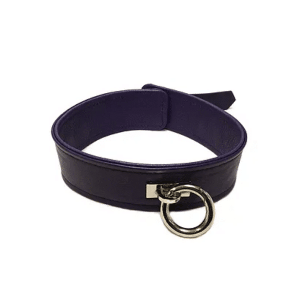 rouge leather collar purple o ring leash pet play kinky bdsm bondage