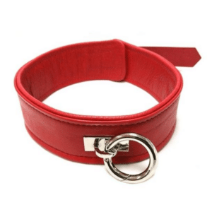 rouge leather collar red o ring metal sexy kitten puppy pet play leash attachment easy use buckle closure bdsm bondage