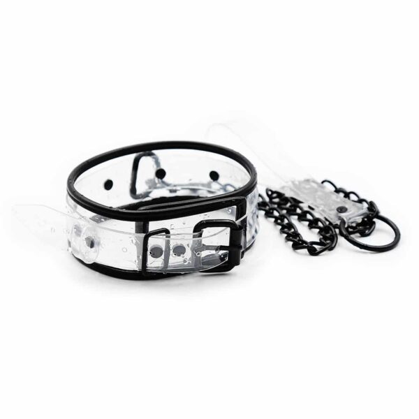 Clear Collar with Leash
