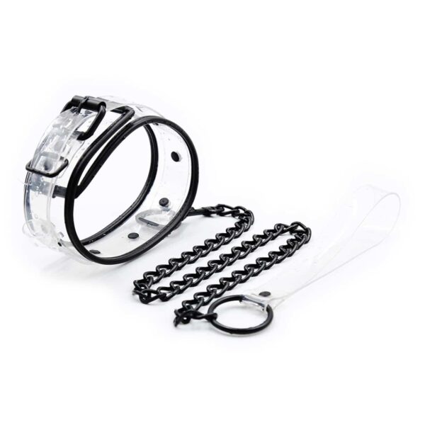Clear Collar with Leash
